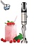 Royalty Line® Metal Hand Blender | 800W