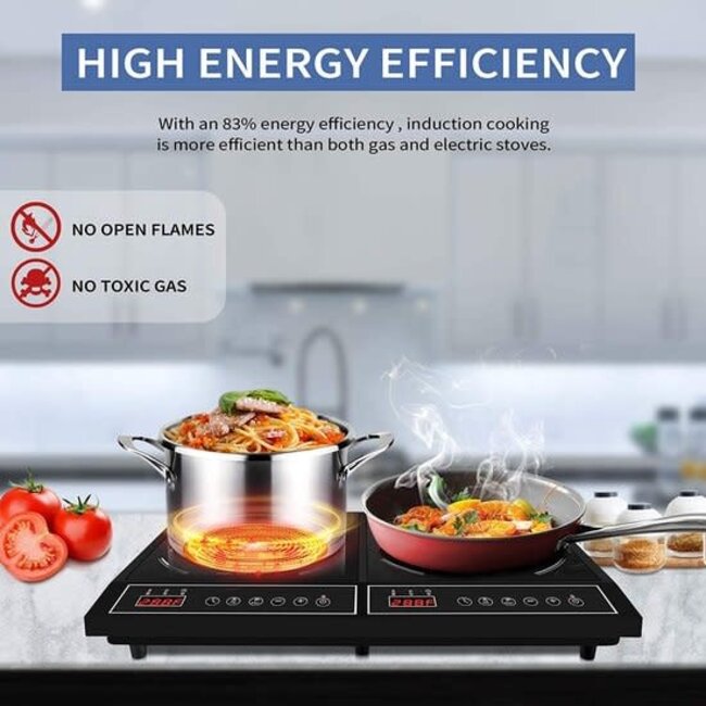 Royalty Line® Induction Cooktop | Double