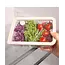 ZOHA Glass Food Container Rectangular Beige | 820ml