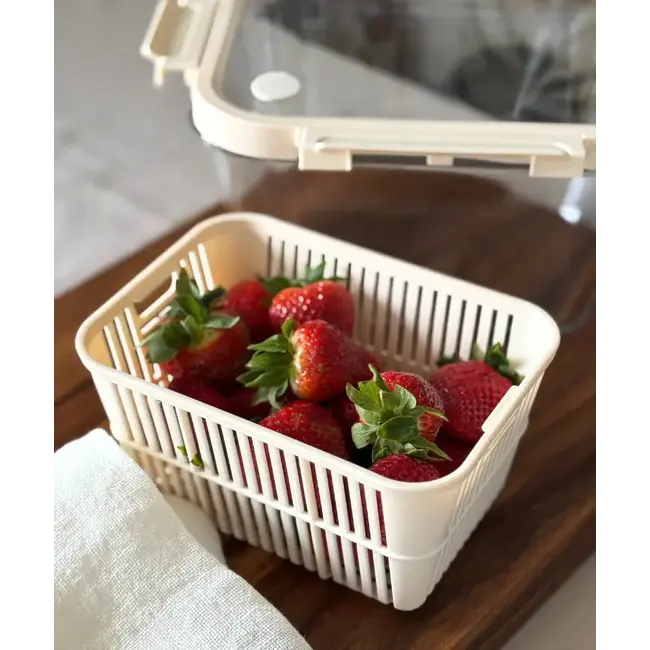 ZOHA 1 Storage Container | 2440ml