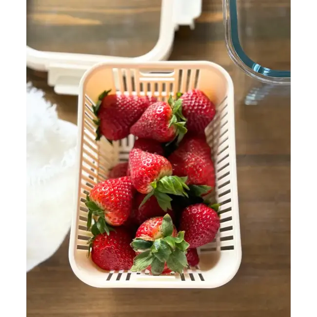 ZOHA 1 Opslagcontainer | 2440ml