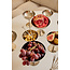 Bavary 2 Aura RVS Coupe | 11cm
