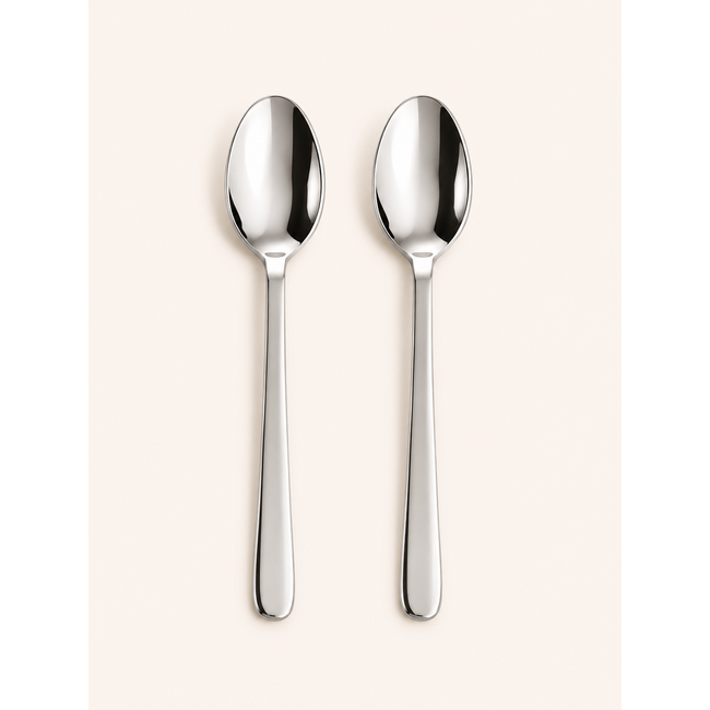 BAVARY 6-delig Theelepel Set | Derya | 18/10 RVS INOX