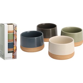 SCHAAL SET 4STS AARDEWERK GRES