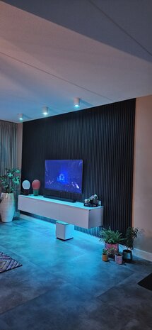 Oppio €45 PER PANEEL - 60x260 cm ZWART Eiken akoestische wand panel lattenwand met Vilt Oppio €45 PER PANEEL - 60x260 cm ZWART Eiken akoestische wand panel lattenwand met Vilt