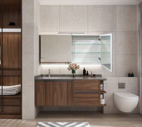 Oppio VANITY Spiegelkast 60x100 (RANDLOOS) Badkamerspiegel met verlichting Oppio VANITY Spiegelkast 60x100 (RANDLOOS) Badkamerspiegel met verlichting