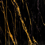 Oppio €79 PER PANEEL - 120x280x0,3 cm - PVC Wandpaneel Ceasar Black  - Zwart Goud Hoogglans