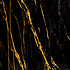 €67 PER PANEEL - 120x280x0,3 cm - PVC Wandpaneel Ceasar Black  - Zwart Goud Hoogglans