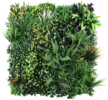 100 x100 cm - OPPIO Moss Panel - AMAZON