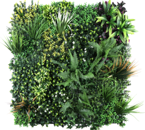 Oppio 100 x100 cm - OPPIO Moss Panel - AMAZON Oppio 100 x100 cm - OPPIO Moss Panel - AMAZON