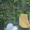 Oppio OPPIO Moss Panel - DAINTREE- 100x100 cm Oppio OPPIO Moss Panel - DAINTREE- 100x100 cm