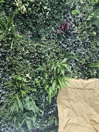 Oppio 100x100 cm - OPPIO Moss Panel Kunsthaag - DAINTREE