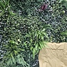 Oppio OPPIO Moss Panel - DAINTREE- 100x100 cm Oppio OPPIO Moss Panel - DAINTREE- 100x100 cm