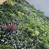 Oppio OPPIO Moss Panel - DAINTREE- 100x100 cm Oppio OPPIO Moss Panel - DAINTREE- 100x100 cm