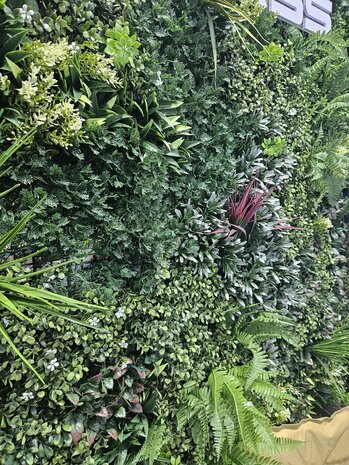 Oppio 100x100 cm - OPPIO Moss Panel Kunsthaag - DAINTREE