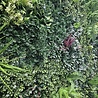 Oppio OPPIO Moss Panel - DAINTREE- 100x100 cm Oppio OPPIO Moss Panel - DAINTREE- 100x100 cm