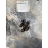 Oppio Decoratieve reserveonderdelen - DENNEAPPEL