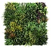 100x100 cm - Moss Panel Kunsthaag - ITURI 100x100 cm - Moss Panel Kunsthaag - ITURI