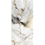 Oppio €79 PER PANEEL - 120x280x0,3 cm - PVC Wandpaneel Fantasy Gold -  Hoogglans
