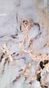 €57 PER PANEEL - 120x280x0,3 cm - PVC Wandpaneel DREAMY -  Hoogglans