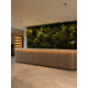 Oppio 100x100 cm - OPPIO Moss Panel Kunsthaag - SOLIMOES