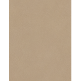 Oppio €98 PER PANEEL - WARM TAUPE PVC Wandpaneel MAT SMOOTH - 120x280x0,3 cm