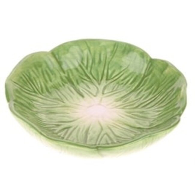Feeding bowl green lettuce