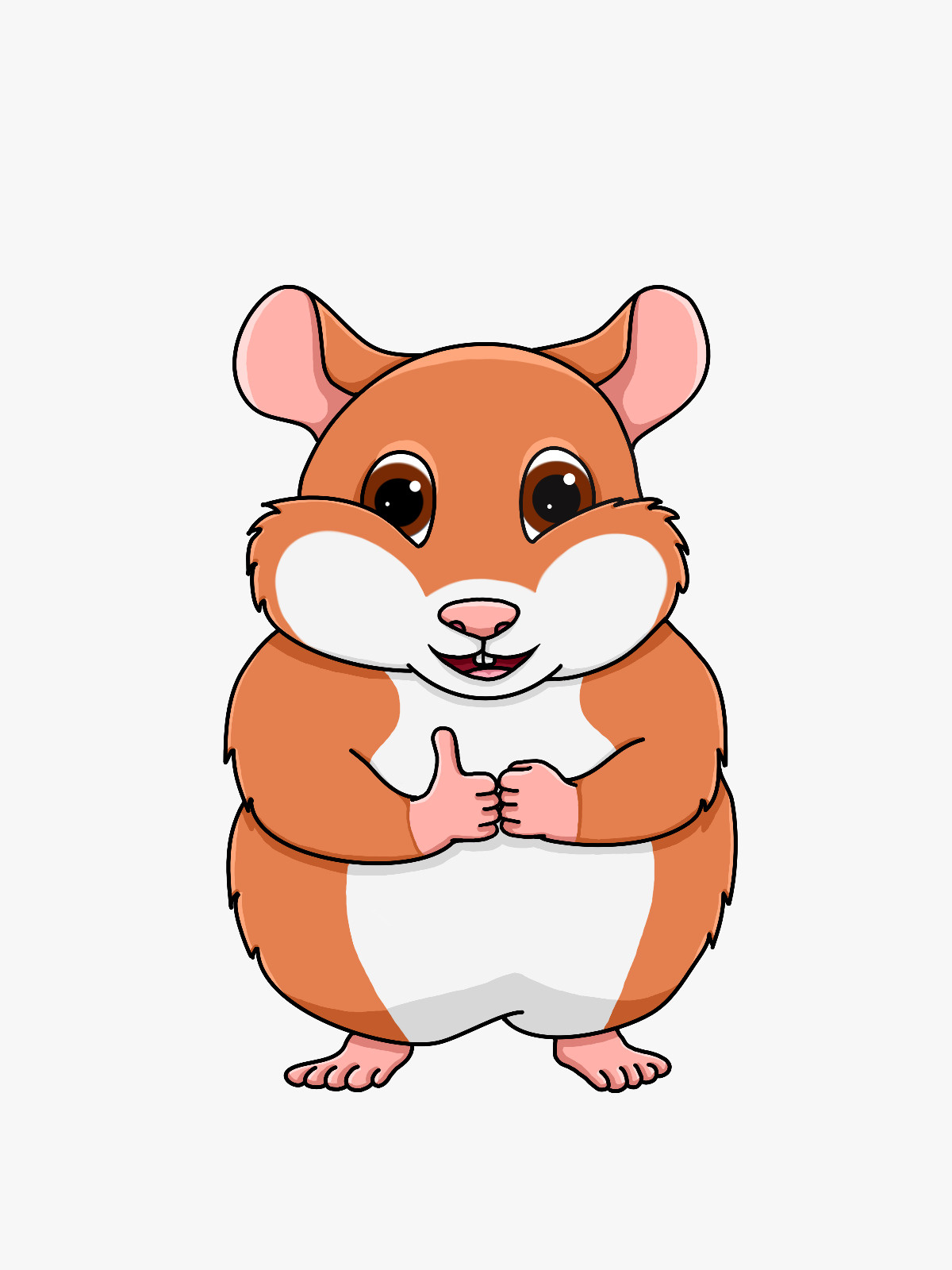 Hamsters – Alle producten bij elkaar voor jouw hamsters