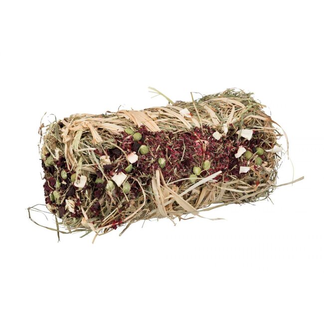 Hay bale with pumpkin and carrot - Snack for rabbits and guinea pigs - ø 10 × 18 cm - 200 grams
