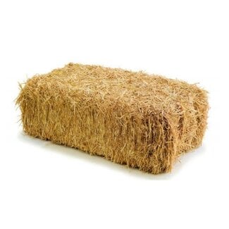 Zooply Bale of Straw - 20 kg