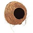 Coconut with hole for rodents - 12 x 11 x 11 cm - Coconut