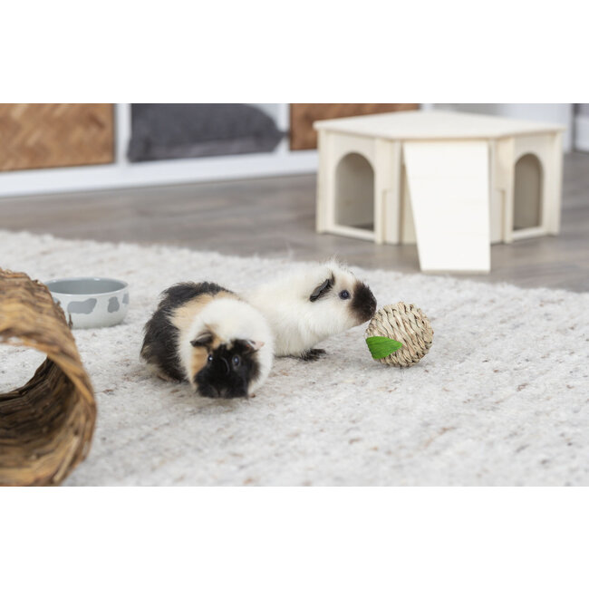 Grass Ball in Apple Shape Ø 7 cm