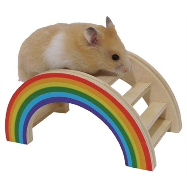 Regenboog speelbrug voor kleine knaagdieren - 14x8x7cm