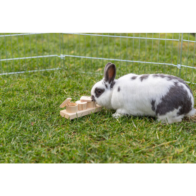 Snack Cups 15 x 6 x 4.5 cm