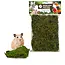 Back Zoo Nature Forest moss ca. 70 gram