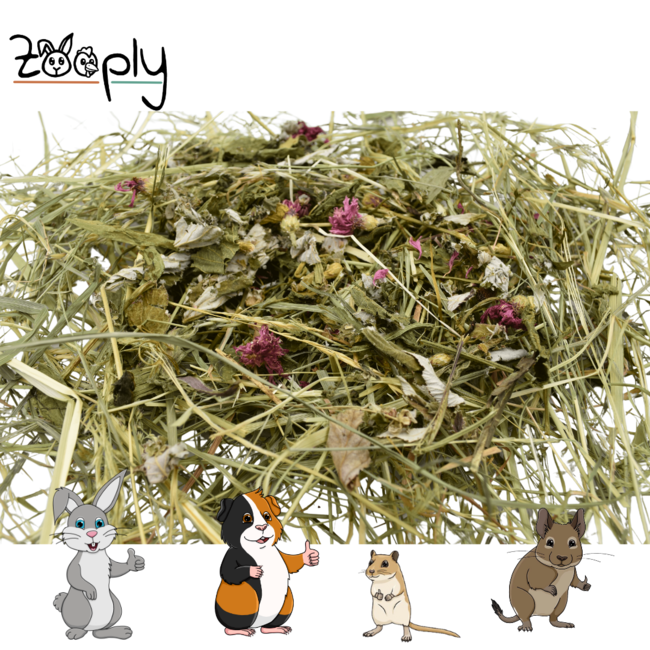 Zooply Kruidenhooi mix pakket - Verschillende soorten kruidenhooi in een box - 4 x 1 kg