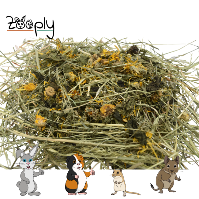 Zooply Herb Hay mix package - Different types of herb hay in a box - 4 x 1 kg