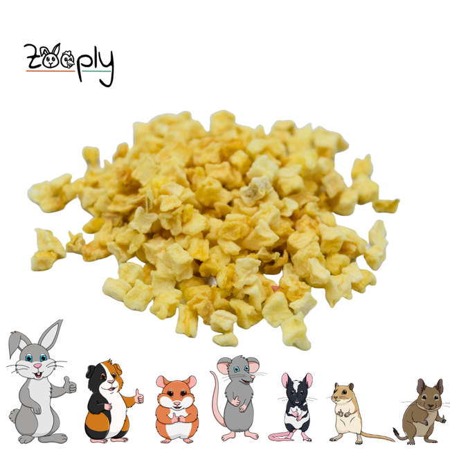 Zooply Apple Cubes - Dried fruit for rabbits and rodents - Healthy snack