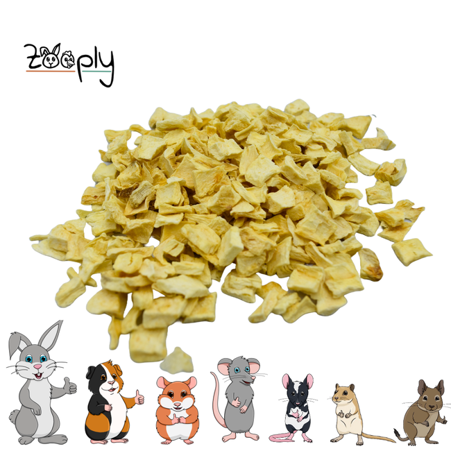 Zooply Parsnip - Dried vegetables for rabbits and rodents - Healthy snack