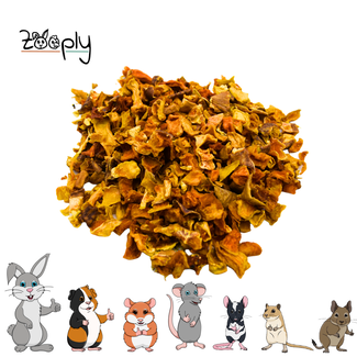 Zooply Zooply Pumpkin