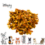 Zooply Pumpkin - Dried vegetable for rabbits and rodents - Healthy snack