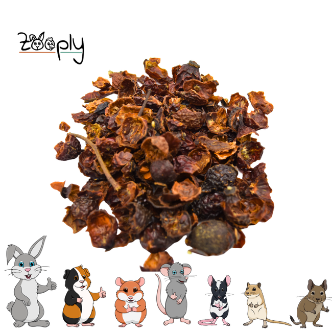 Zooply Rosehip - Dried fruit for rabbits and rodents - Healthy snack
