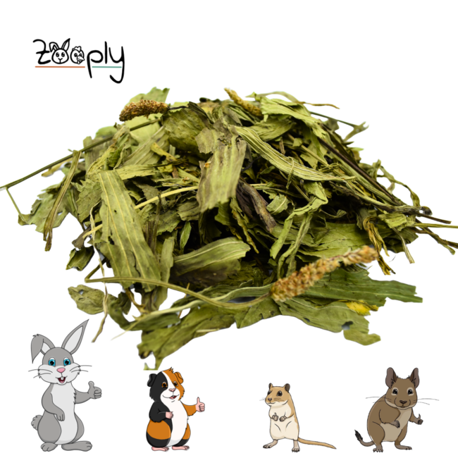 Zooply Narrow Plantain - Dried leaves for rabbits and rodents - Healthy snack
