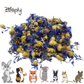 Zooply Zooply Blue cornflower
