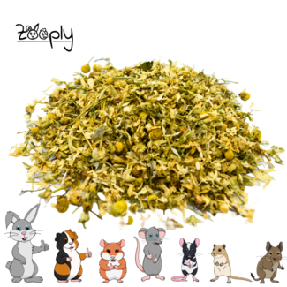 Zooply Chamomile