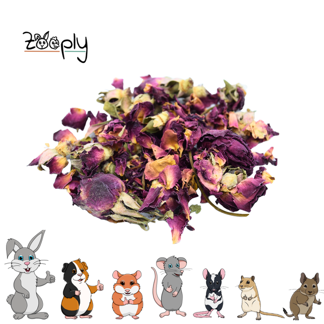 Zooply Rose Buds - Dried flowers for rabbits and rodents - Healthy snack
