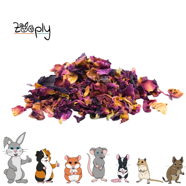 Zooply Rose Petals - Dried Flowers for Rabbits and Rodents - Healthy Snack