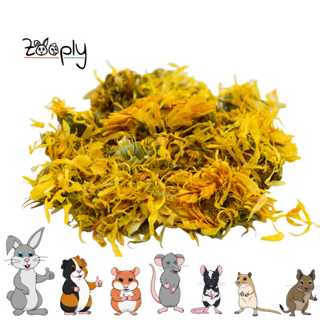 Zooply Marigold - Dried flowers for rabbits and rodents - Healthy snack