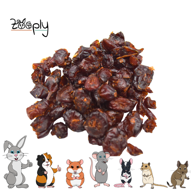 Zooply Cranberry - Dried fruit for rabbits and rodents - Healthy snack