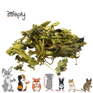 Zooply Zooply Nettle Leaf